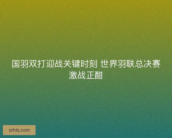 国羽双打迎战关键时刻 世界羽联总决赛激战正酣
